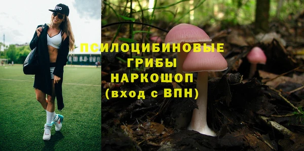 тгк Карталы