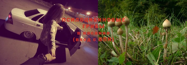 марихуана Каменка